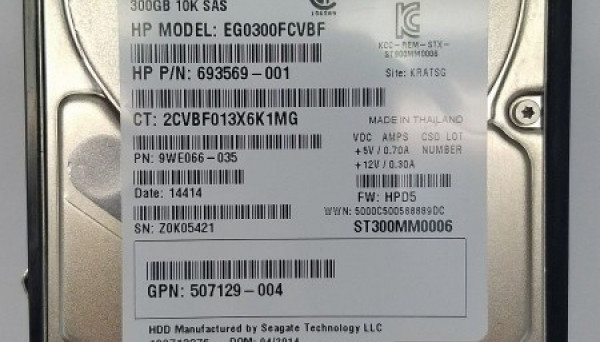 EG0300FCVBF SAS DP 6G 2,5