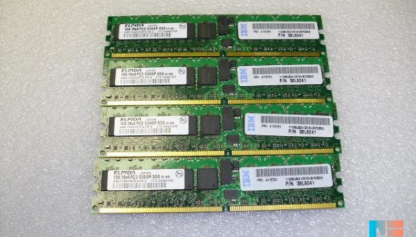 41Y2761 DDR2-667 ECC CL3 RDIMM 1GB PC2-5300P